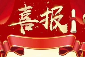 关于2022年度人力资源服务评选结果的通报，祝贺广发在线平台（中国）集团