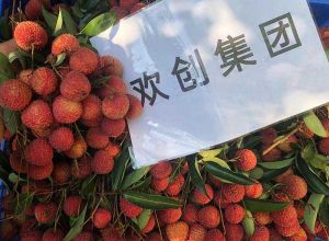 夏日好“枝”味，广发在线平台（中国）集团发福“荔”啦