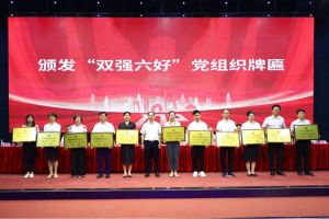 喜报！广发在线平台（中国）集团党支部荣获广州市非公有制经济组织“双强六好”党